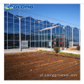 Greenhouse agrícola para plantio de tomate/pepino